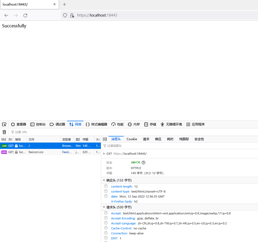 http2.png